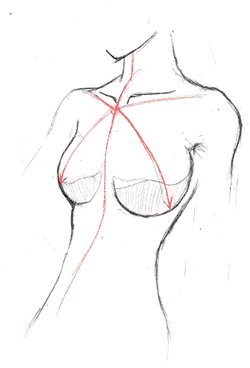 Как рисовать Женское тело
